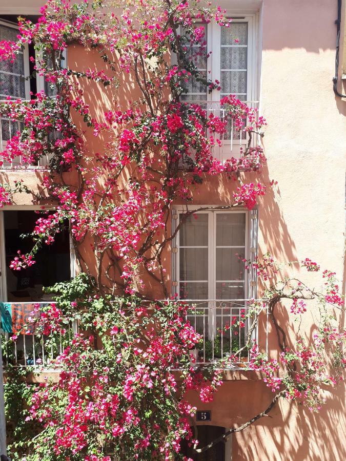 Blue Palm Apartment Hyeres
