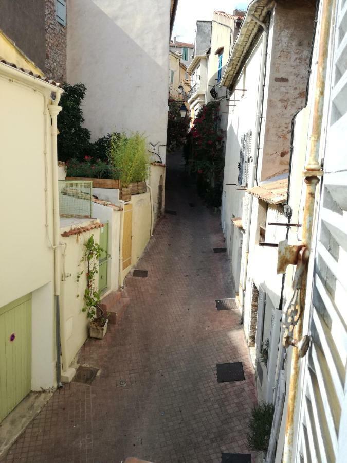 Apartment Blue Palm *